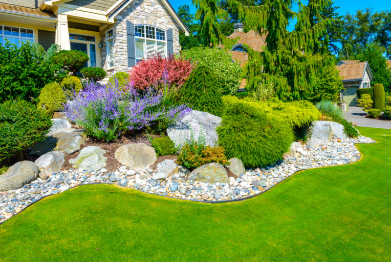 How to Use Your Landscaping to Save Energy